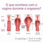 Orgasmo feminino: imagem mostrando o que acontece na vagina durante o orgasmo.